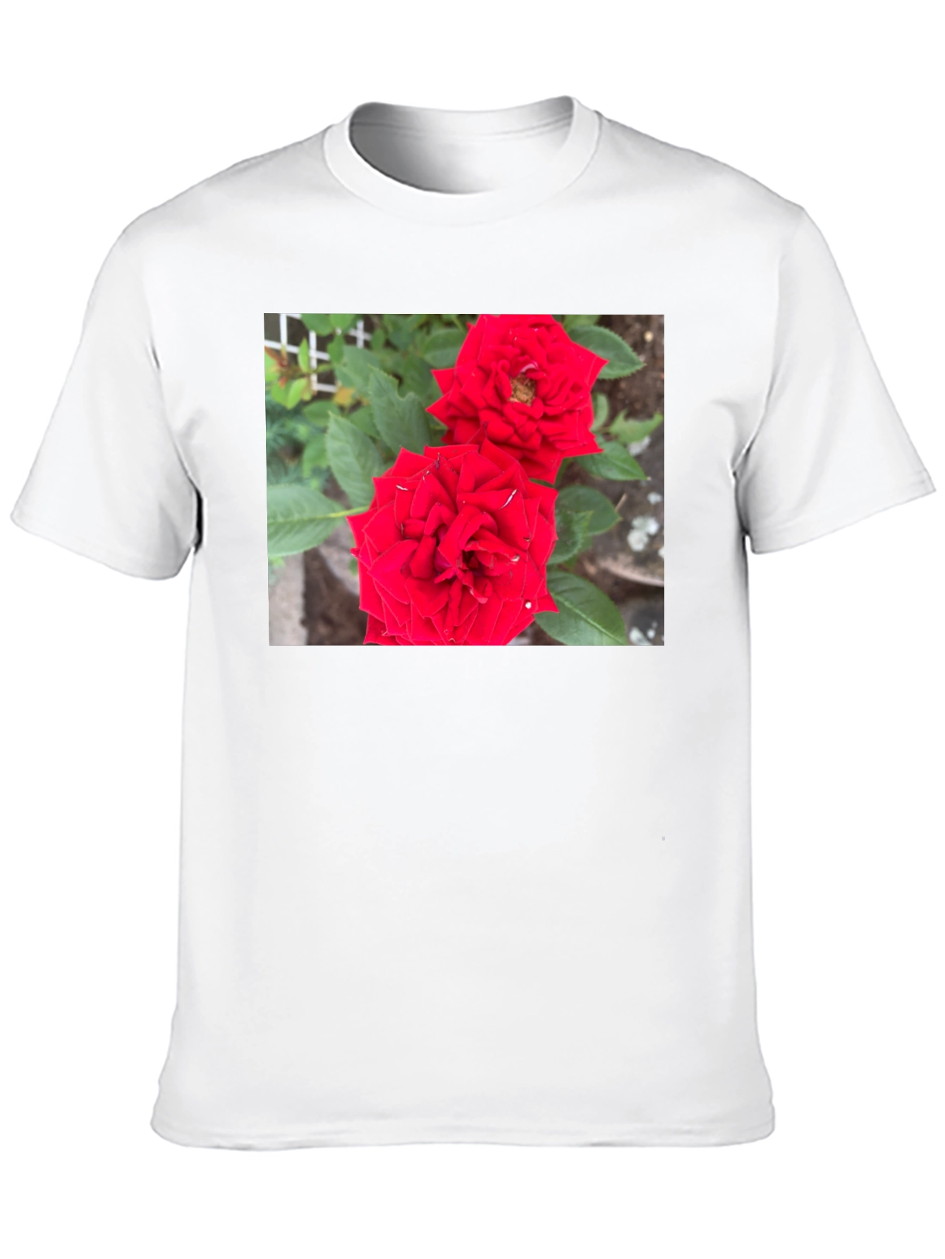 Red Rose Graphic Print Black T-Shirt