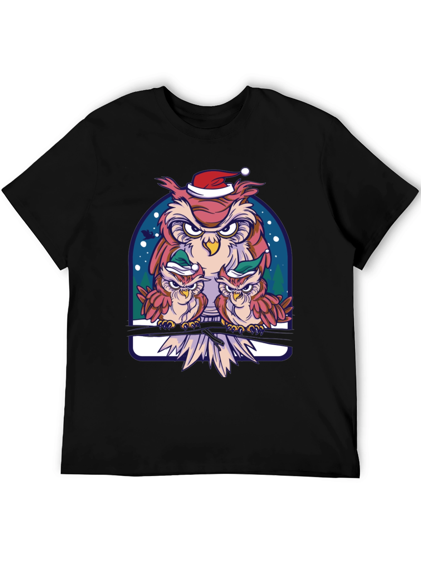 Festive Owl Family Graphic Tee - Holiday Edition
