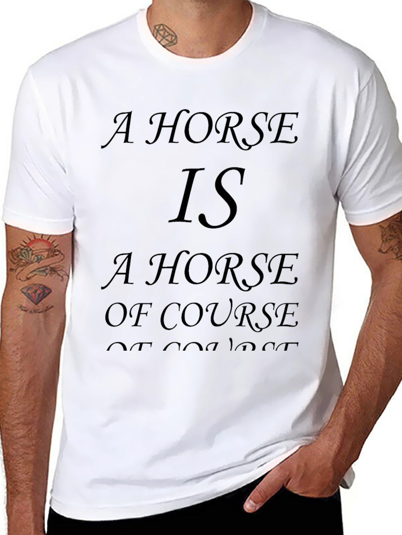 Horse Is A Horse T-Shirt