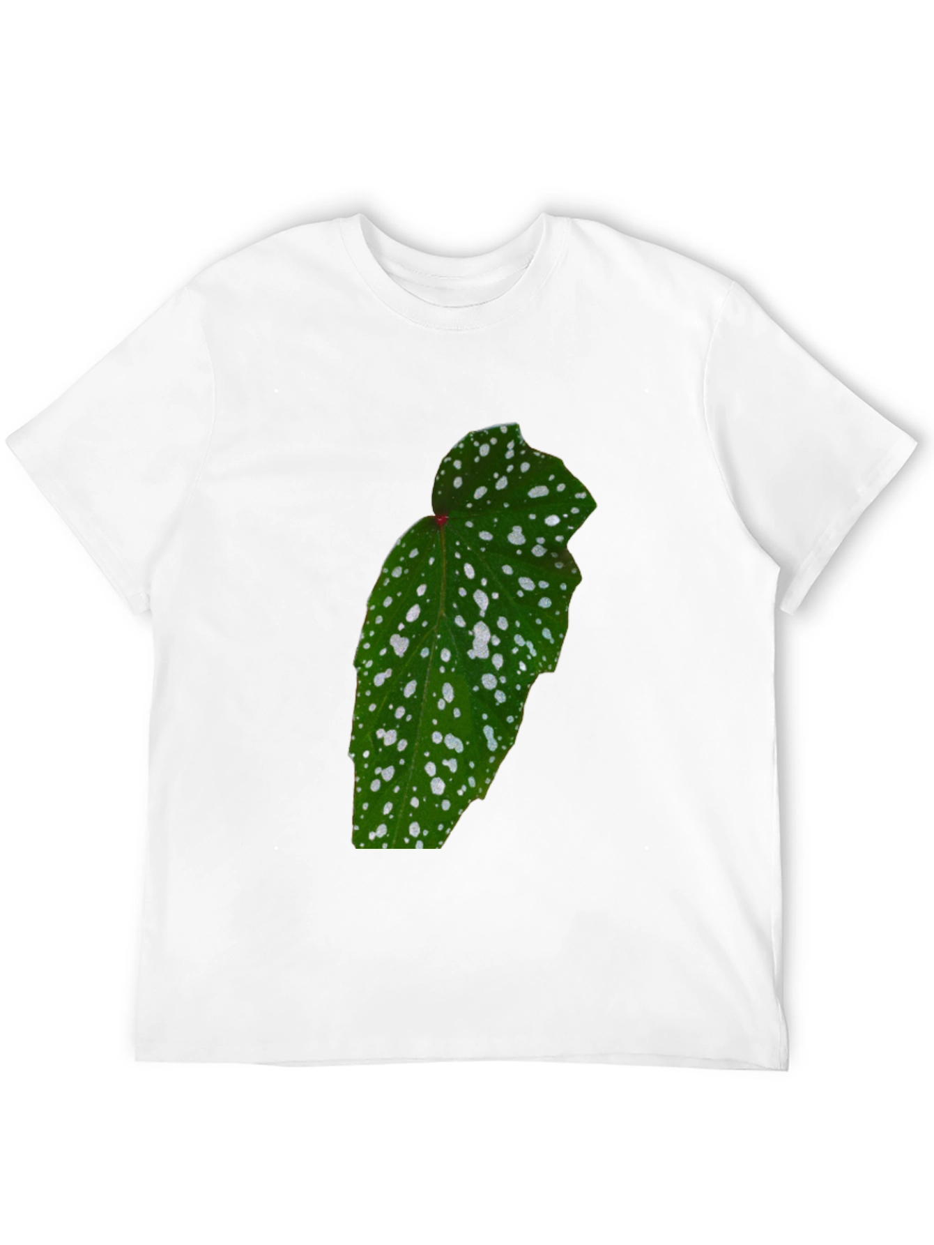 Botanical Begonia Black T-Shirt