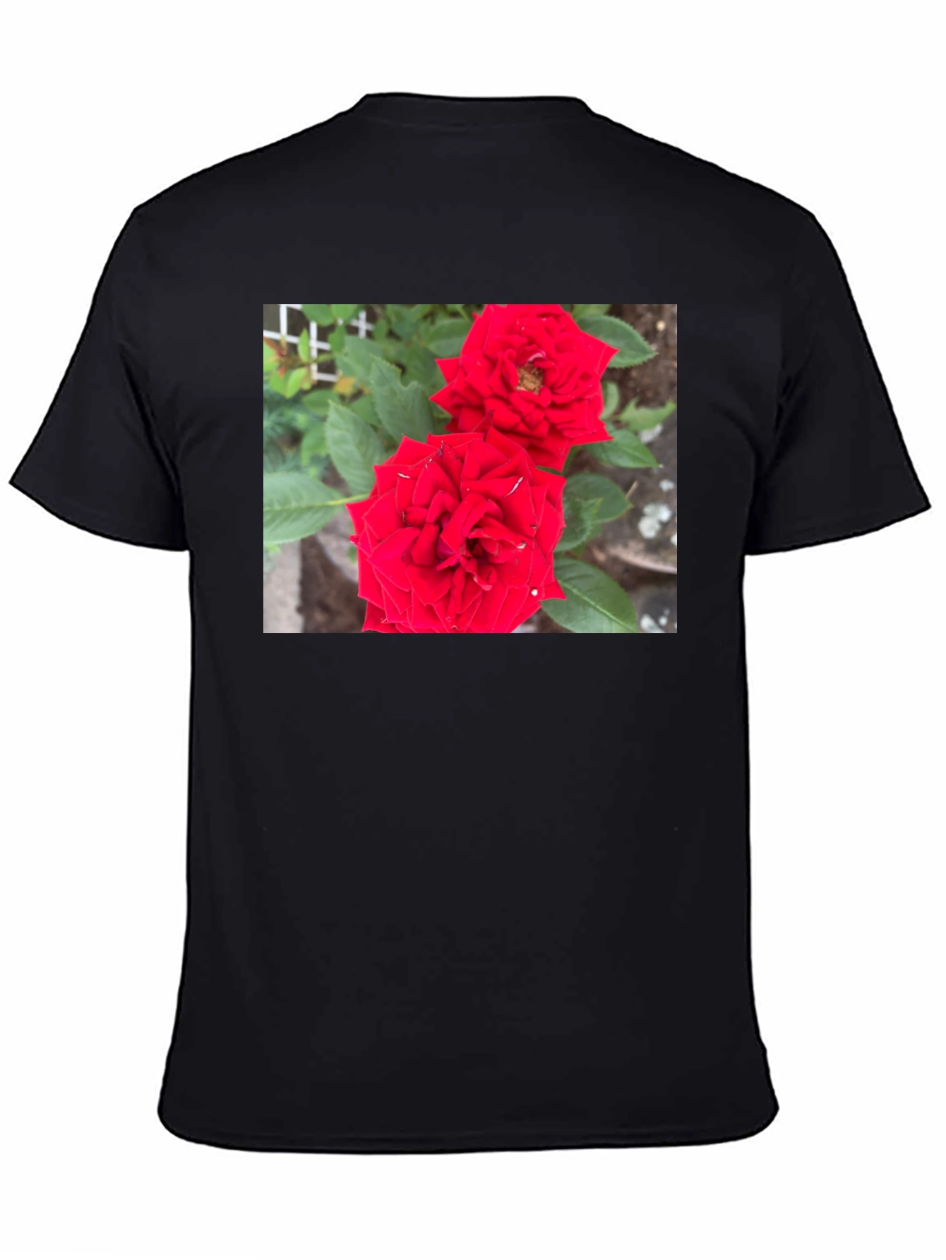Red Rose Graphic Print Black T-Shirt