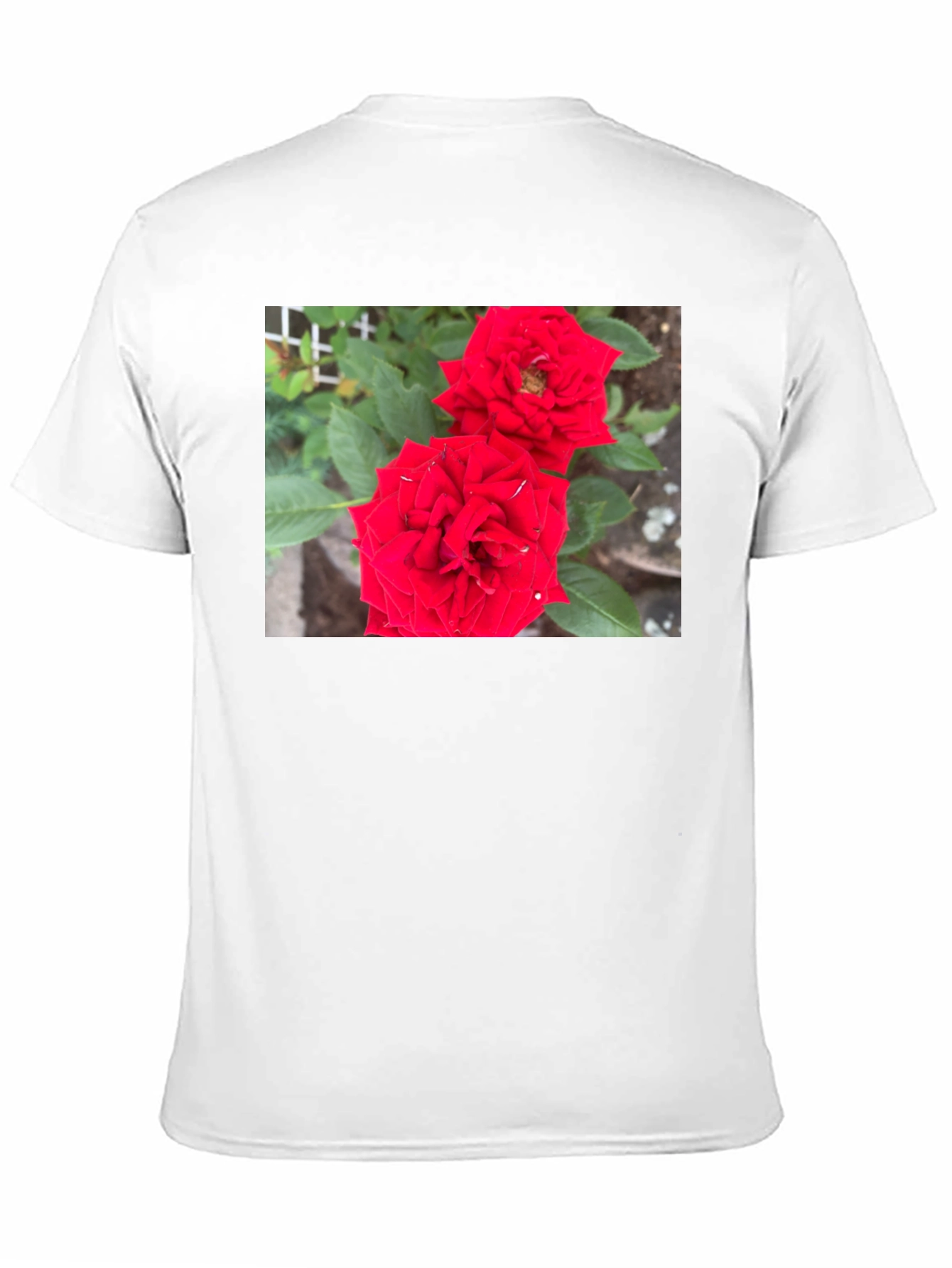 Red Rose Graphic Print Black T-Shirt
