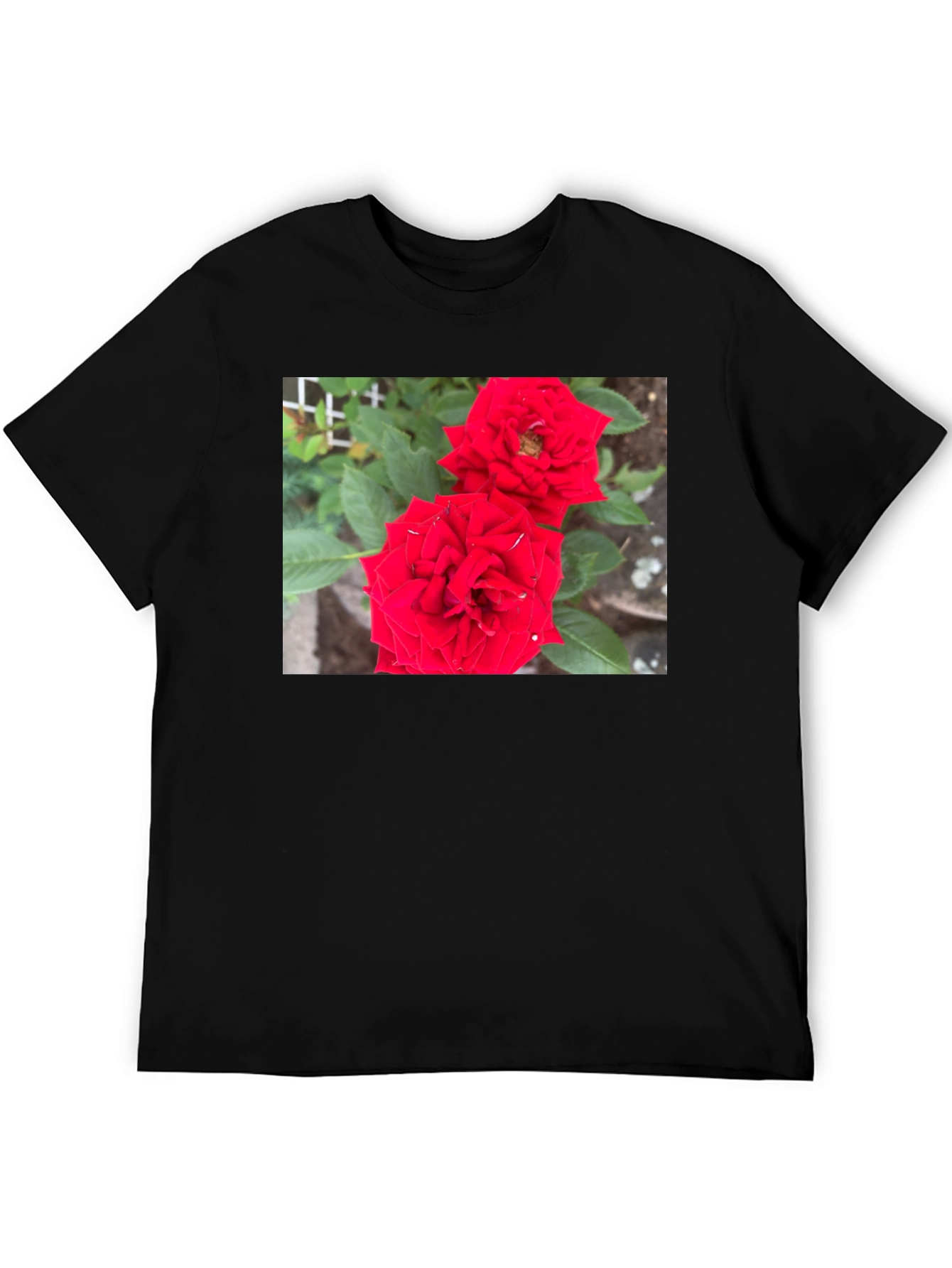 Red Rose Graphic Print Black T-Shirt