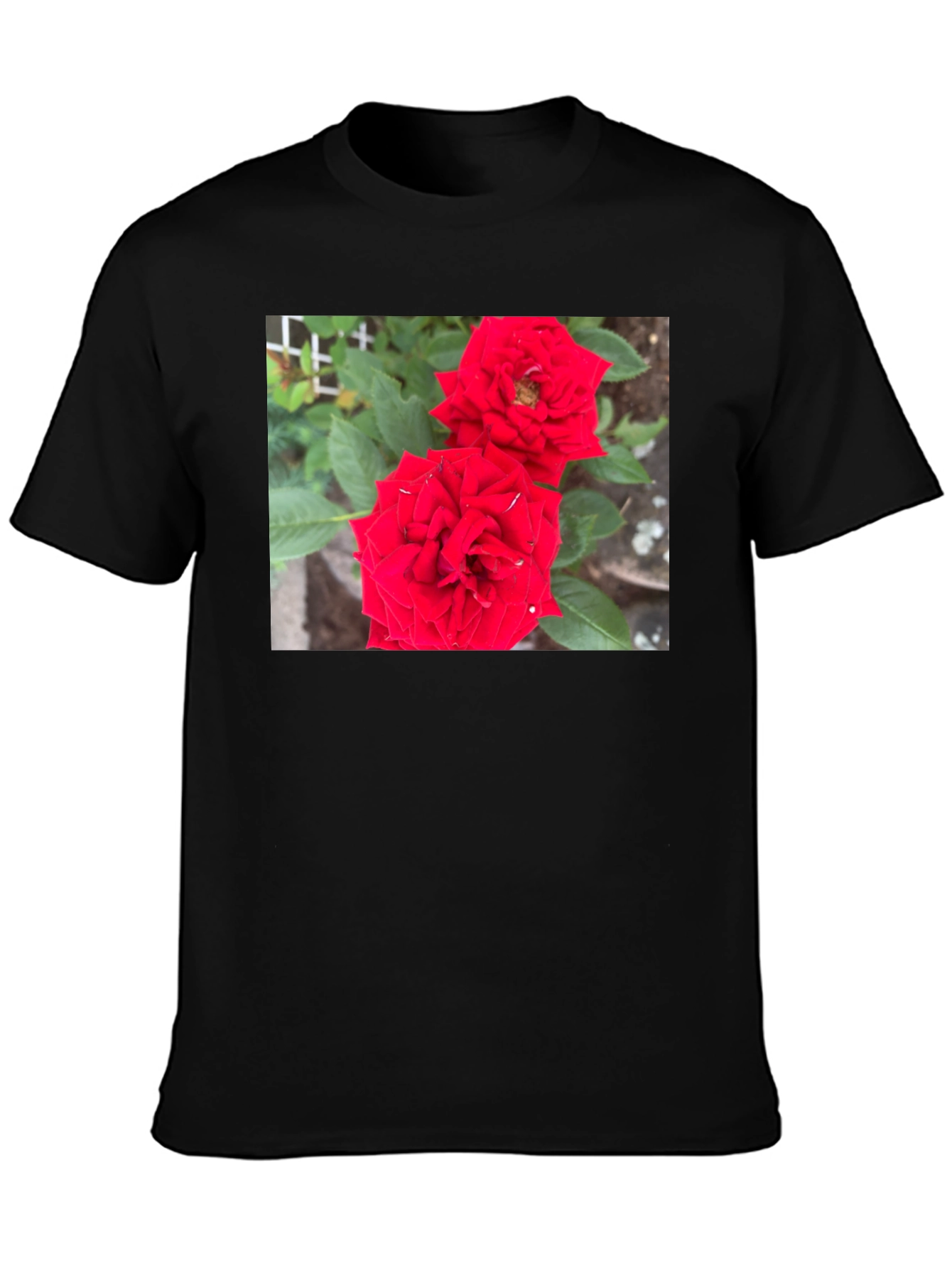 Red Rose Graphic Print Black T-Shirt