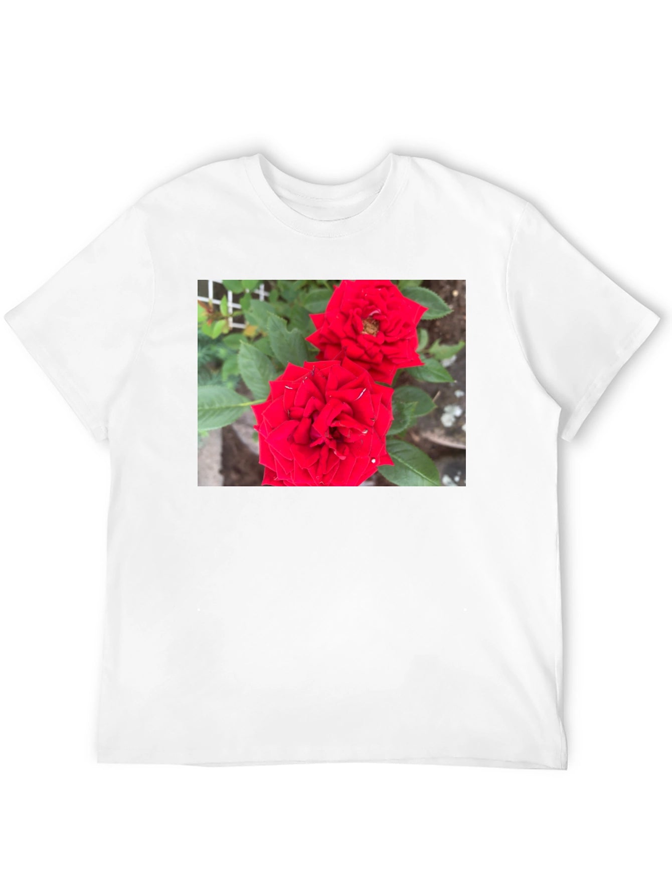 Red Rose Graphic Print Black T-Shirt