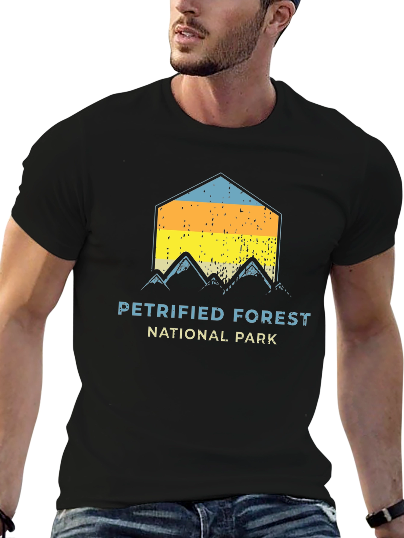 Petrified Forest National Park Graphic Tee
