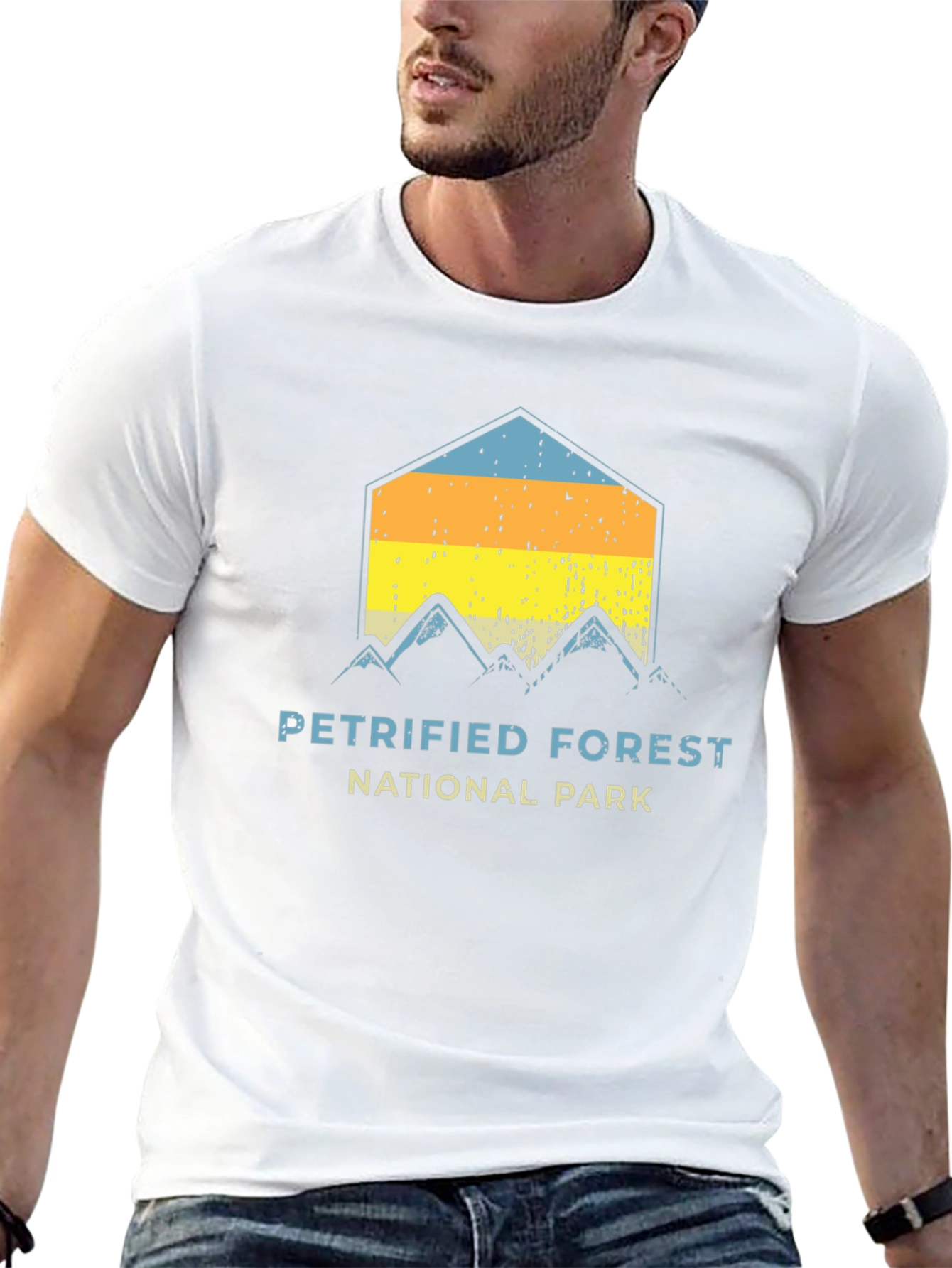 Petrified Forest National Park Graphic Tee