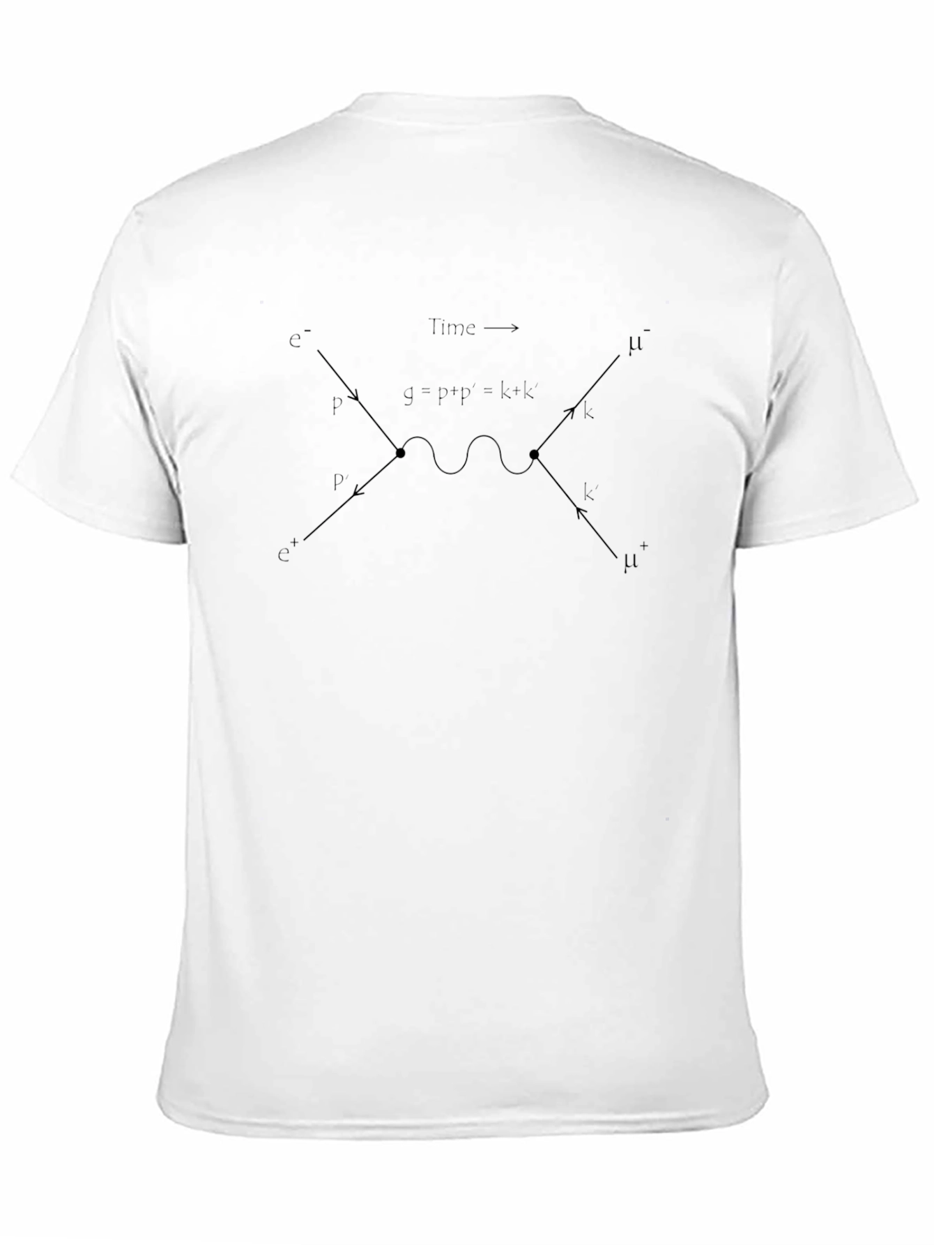 Physics Diagram Black T-Shirt