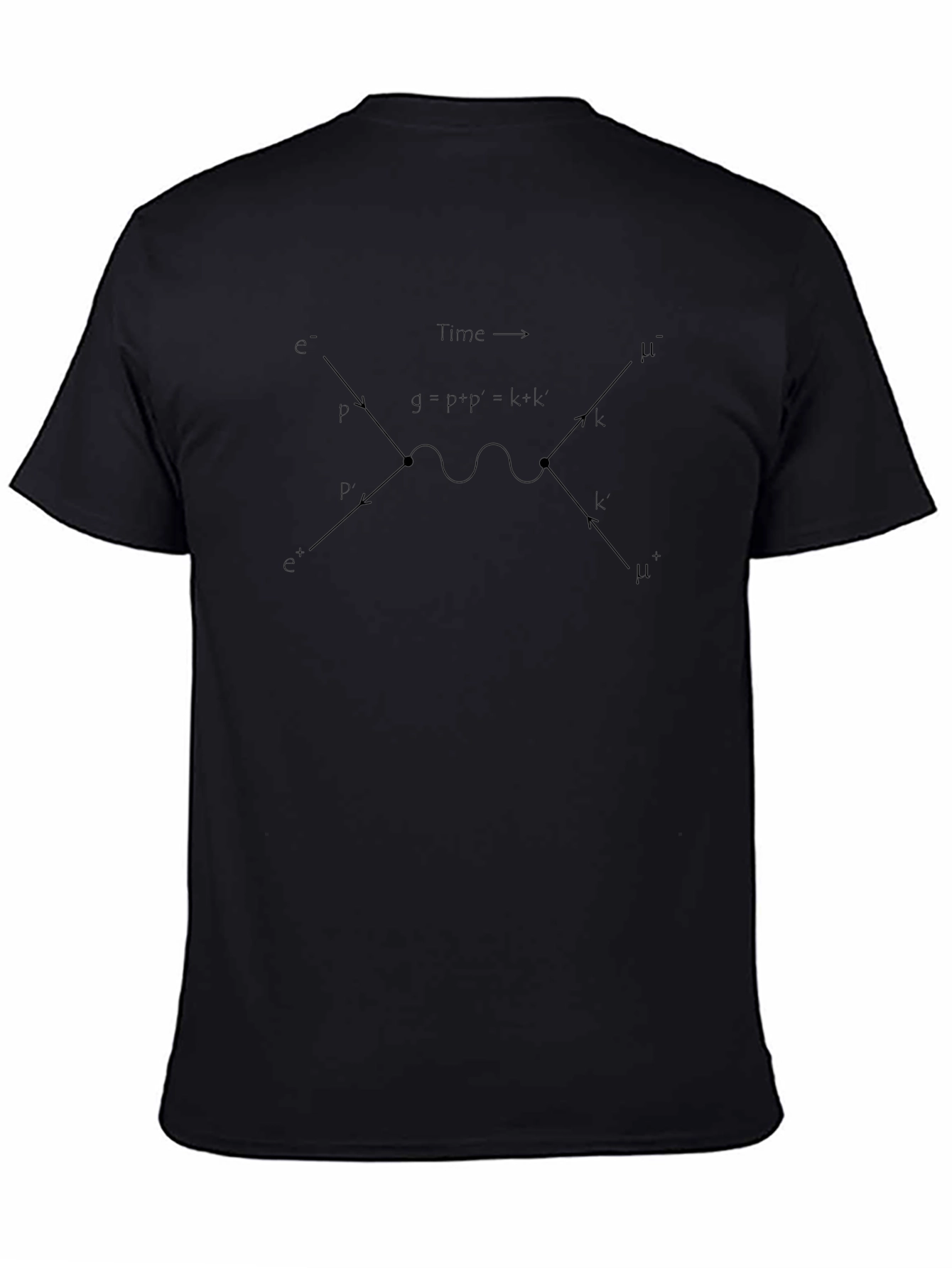 Physics Diagram Black T-Shirt