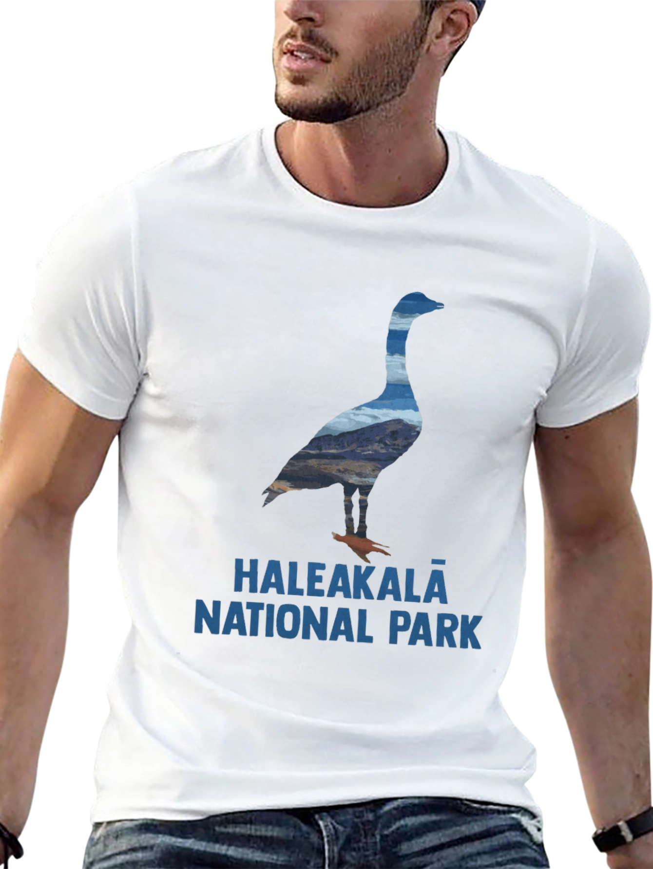 Haleakala National Park Goose T-Shirt