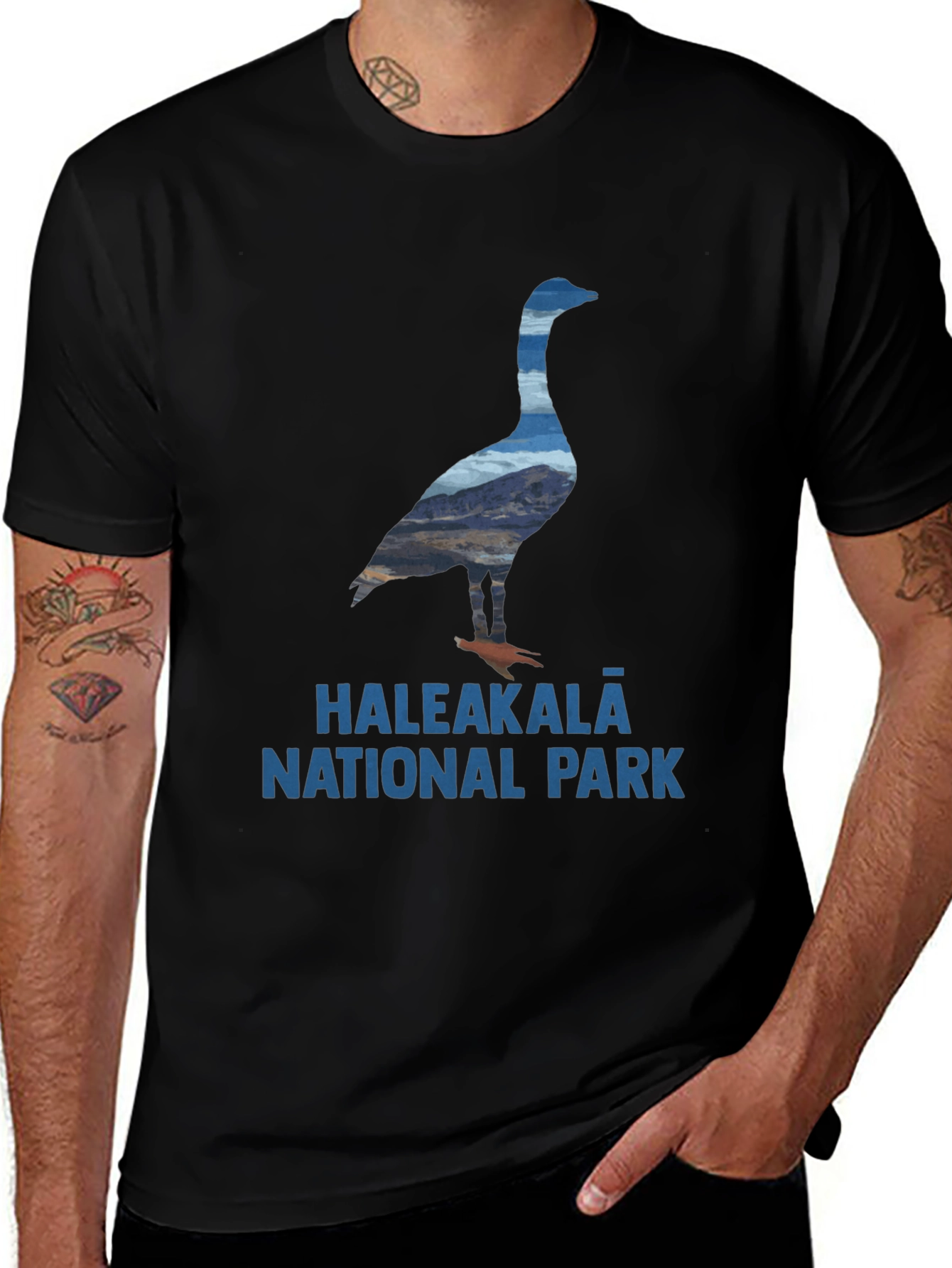 Haleakala National Park Goose T-Shirt