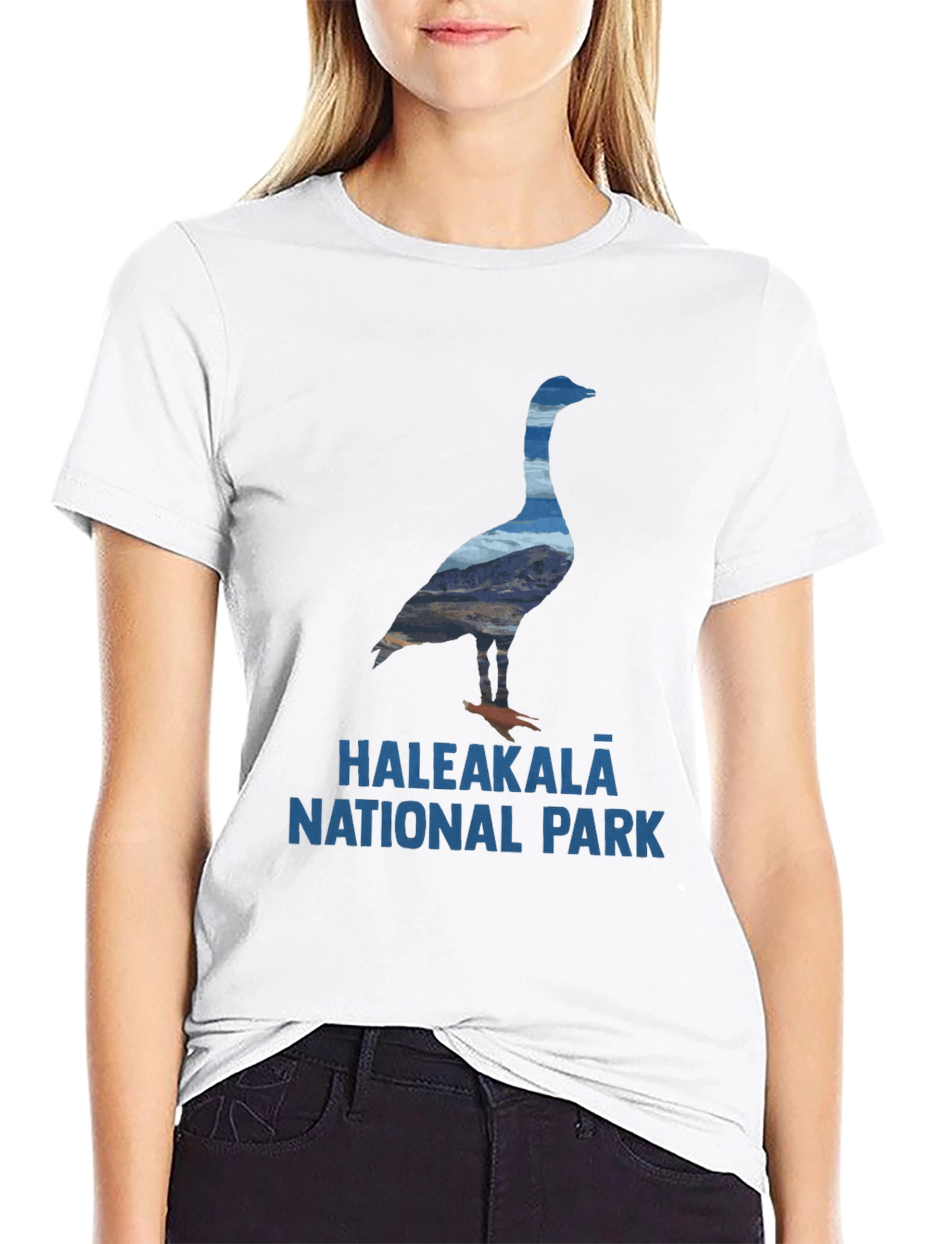 Haleakala National Park Goose T-Shirt