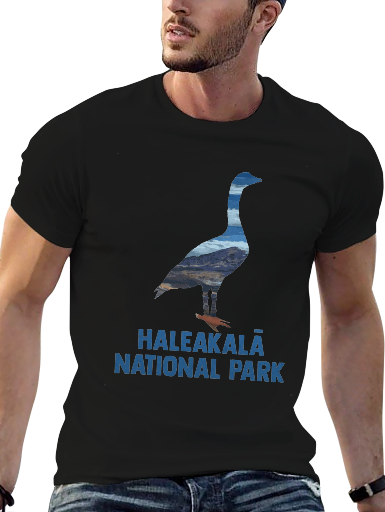 Haleakala National Park Goose T-Shirt