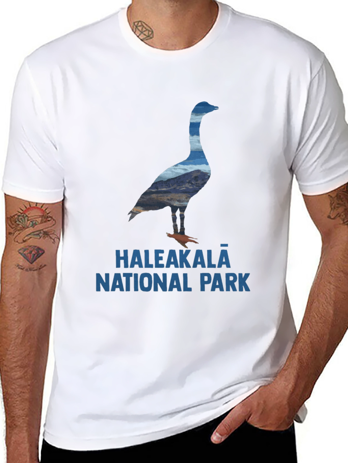Haleakala National Park Goose T-Shirt