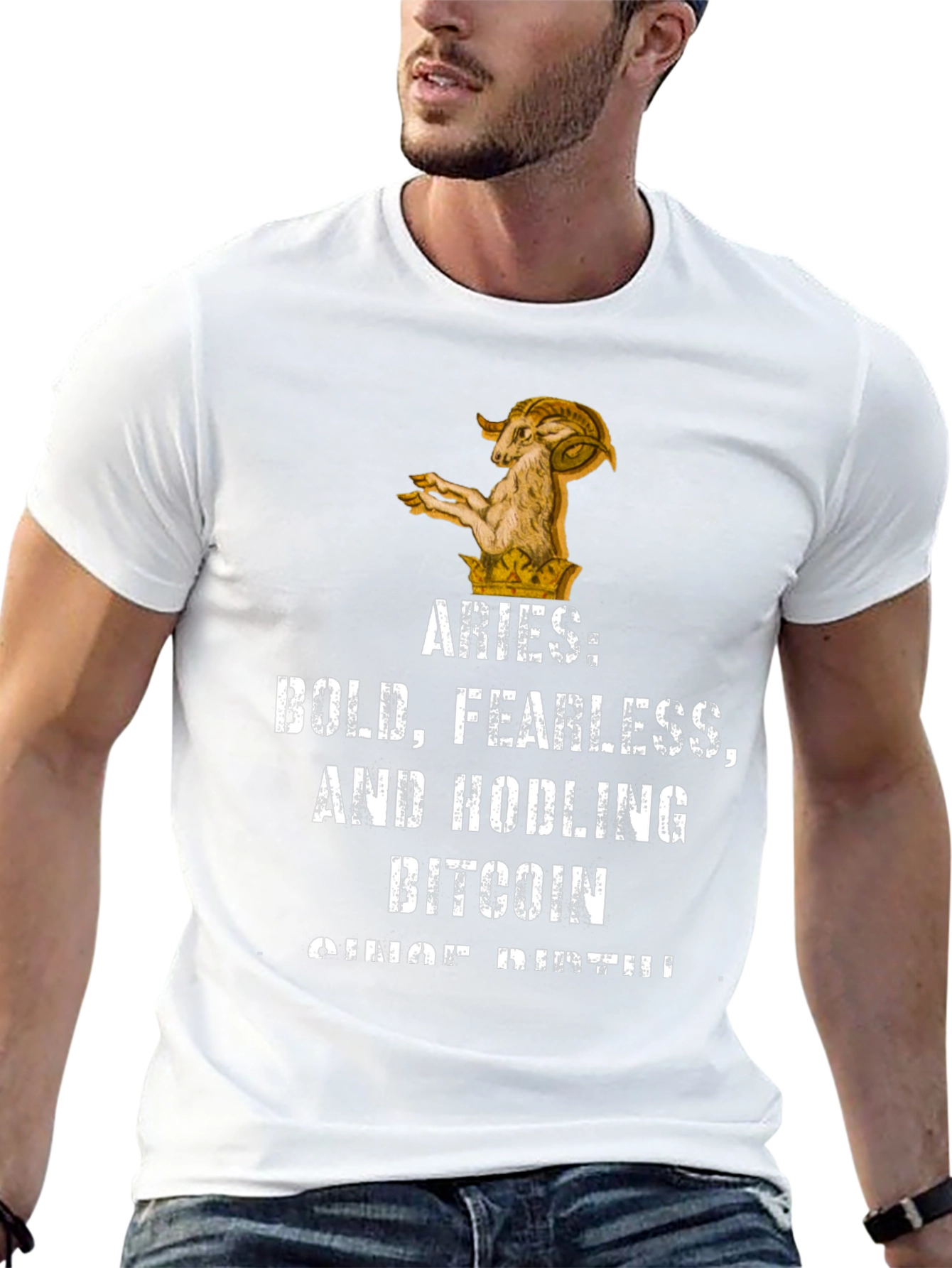 Aries Bitcoin Hodler Black Graphic T-Shirt