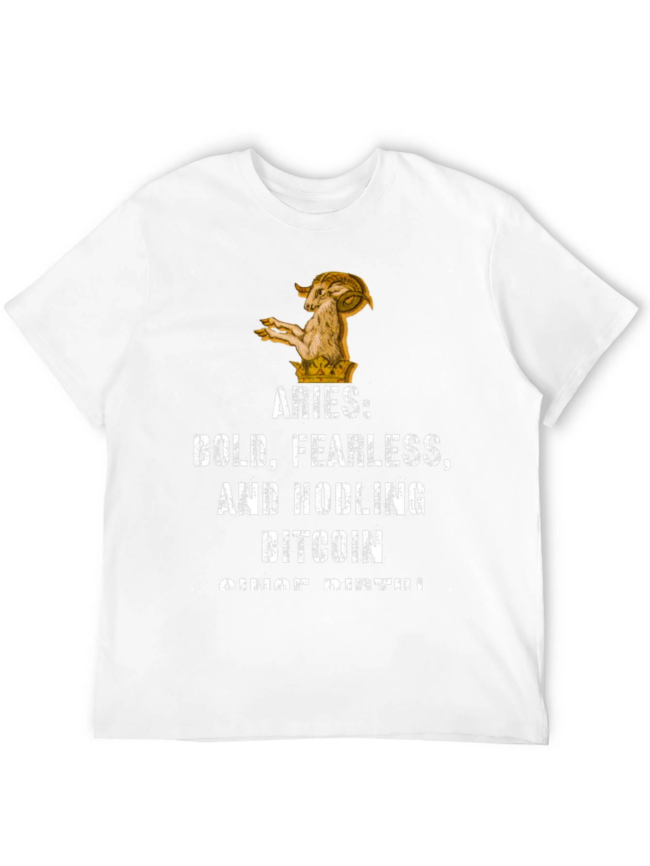 Aries Bitcoin Hodler Black Graphic T-Shirt