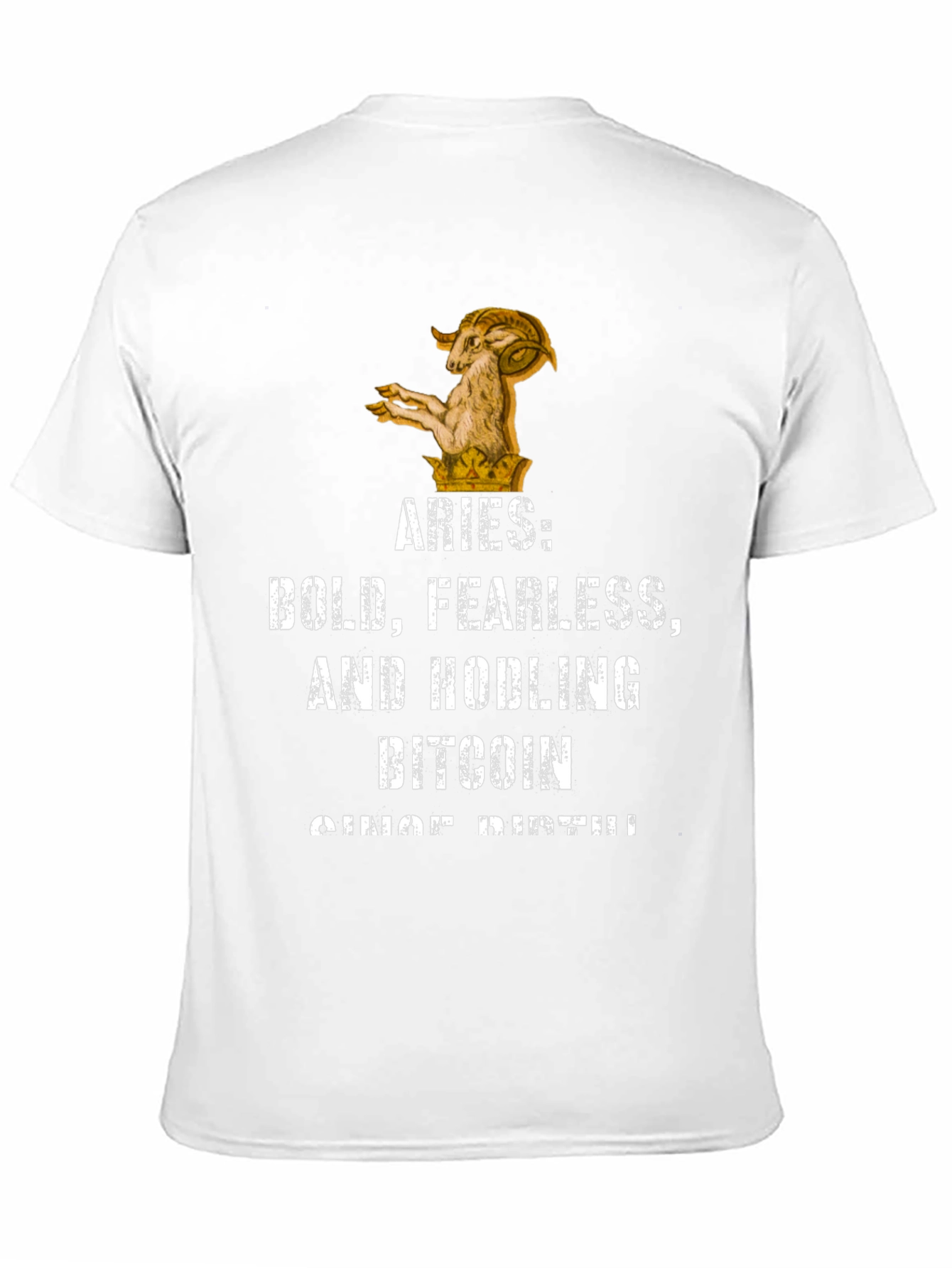 Aries Bitcoin Hodler Black Graphic T-Shirt