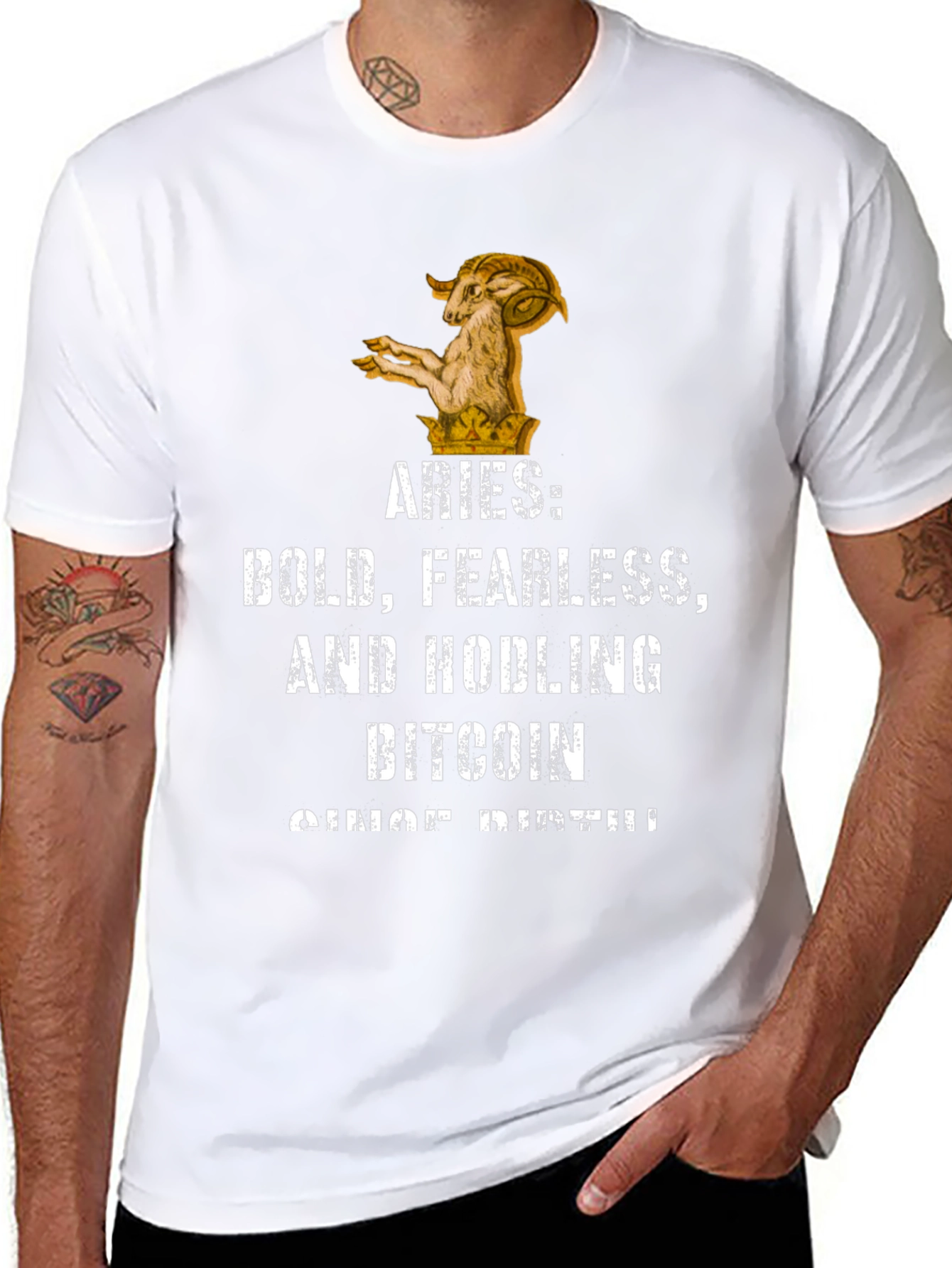 Aries Bitcoin Hodler Black Graphic T-Shirt